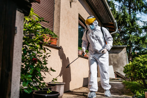 Best Pest Inspection Near Me  in Wake Forest, NC